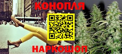 apvp Можга