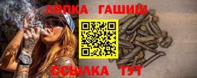 apvp Можга