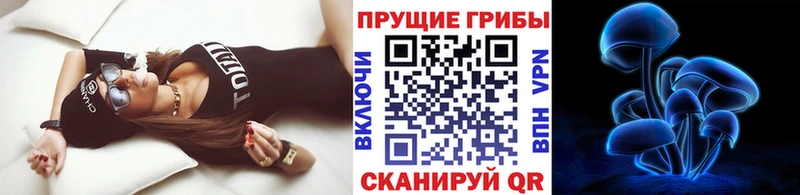 Псилоцибиновые грибы мухоморы  Тюмень 